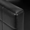 Gabbiano sedia per parrucchieri Ankara nero