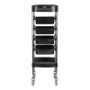 Gabbiano assistente parrucchiere FX11-F nero