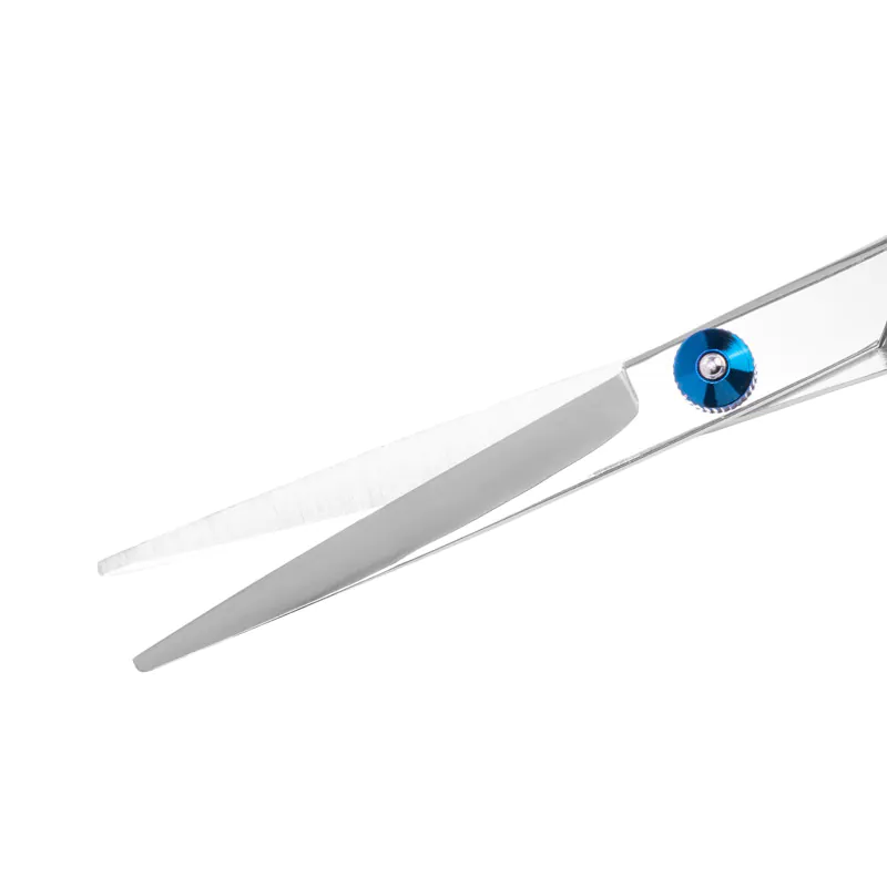 Forbici da parrucchiere Snippex 6.0