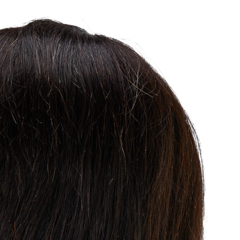 Gabbiano WZ4 testa di formazione barba in capelli naturali, colore 1H, lunghezza 8""+6""
